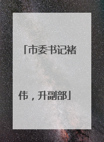 市委书记褚伟，升副部