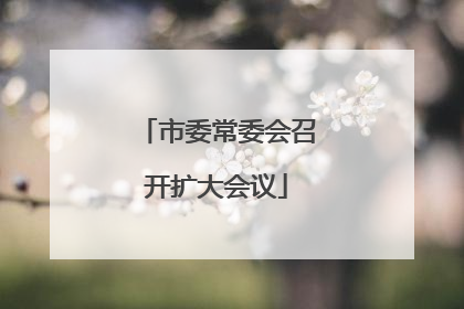 市委常委会召开扩大会议