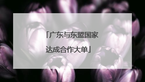 广东与东盟国家达成合作大单