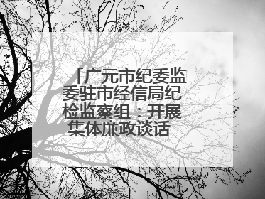 广元市纪委监委驻市经信局纪检监察组：开展集体廉政谈话 敲响廉政警钟
