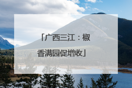 广西三江：椒香满园促增收