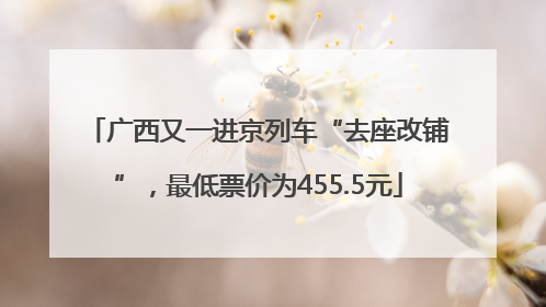 广西又一进京列车“去座改铺”，最低票价为455.5元