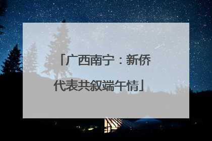 广西南宁：新侨代表共叙端午情