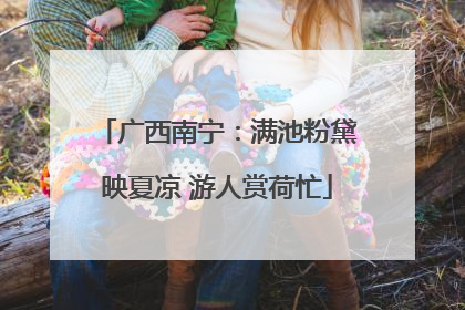 广西南宁：满池粉黛映夏凉 游人赏荷忙