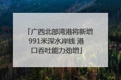 广西北部湾港将新增991米深水岸线 港口吞吐能力劲增