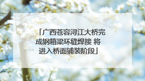 广西苍容浔江大桥完成钢箱梁环缝焊接 将进入桥面铺装阶段
