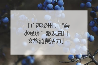 广西贺州：“亲水经济”激发夏日文旅消费活力