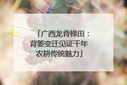 广西龙脊梯田：背篓变迁见证千年农耕传统魅力