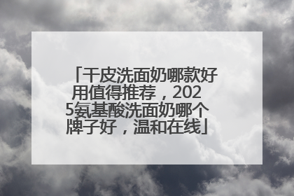 干皮洗面奶哪款好用值得推荐，2025氨基酸洗面奶哪个牌子好，温和在线