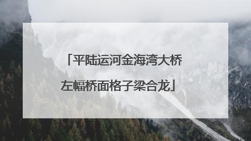 平陆运河金海湾大桥左幅桥面格子梁合龙