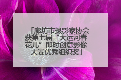 廊坊市摄影家协会获第七届“大运河春花儿”即时创意影像大赛优秀组织奖