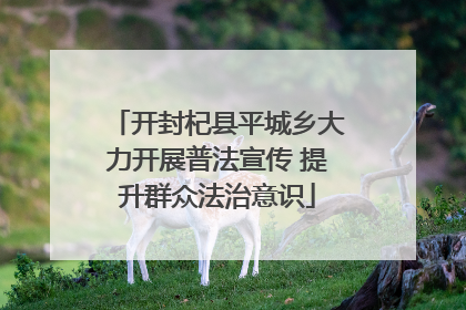 开封杞县平城乡大力开展普法宣传 提升群众法治意识