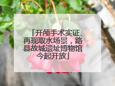 开颅手术实证、再现取水场景，路县故城遗址博物馆今起开放