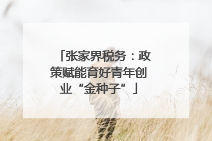 张家界税务：政策赋能育好青年创业“金种子”