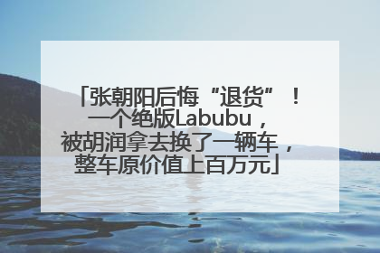 张朝阳后悔“退货”！一个绝版Labubu，被胡润拿去换了一辆车，整车原价值上百万元
