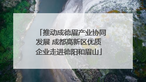 推动成德眉产业协同发展 成都高新区优质企业走进德阳和眉山