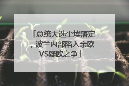 总统大选尘埃落定，波兰内部陷入亲欧VS疑欧之争