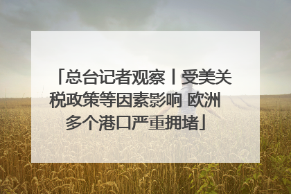 总台记者观察丨受美关税政策等因素影响 欧洲多个港口严重拥堵