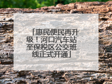 惠民便民再升级！河口汽车站至保税区公交班线正式开通