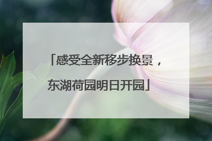 感受全新移步换景，东湖荷园明日开园