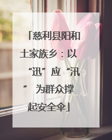 慈利县阳和土家族乡：以“迅”应“汛” 为群众撑起安全伞