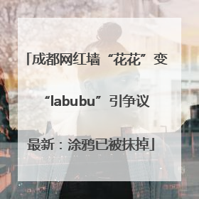 成都网红墙“花花”变“labubu”引争议 最新：涂鸦已被抹掉