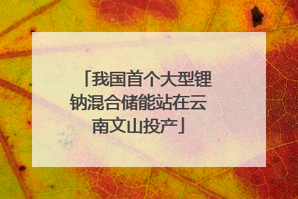 我国首个大型锂钠混合储能站在云南文山投产
