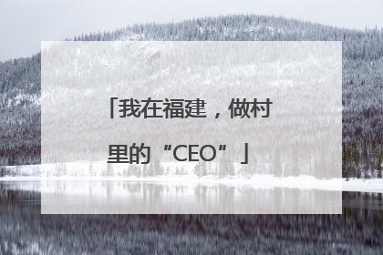 我在福建,做村里的“CEO”