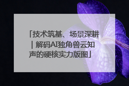 技术筑基、场景深耕｜解码AI独角兽云知声的硬核实力版图