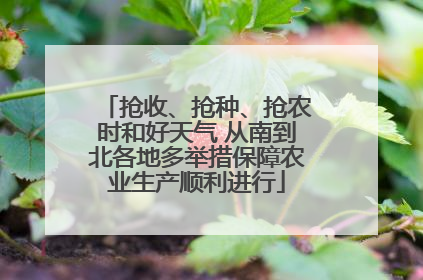 抢收、抢种、抢农时和好天气 从南到北各地多举措保障农业生产顺利进行