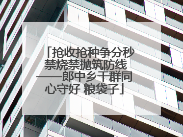 抢收抢种争分秒 禁烧禁抛筑防线——郎中乡干群同心守好 粮袋子