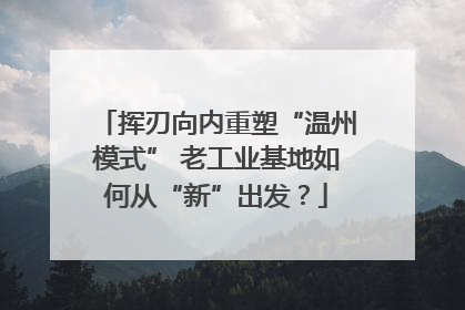 挥刃向内重塑“温州模式” 老工业基地如何从“新”出发？