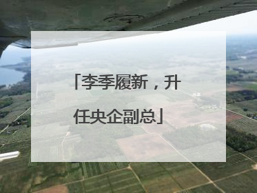 李季履新，升任央企副总