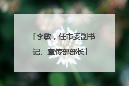 李敏，任市委副书记、宣传部部长