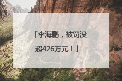 李海鹏，被罚没超426万元！