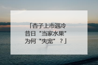 杏子上市遇冷 昔日“当家水果”为何“失宠”？
