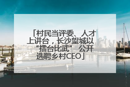 村民当评委、人才上讲台，长沙望城以“擂台比武” 公开选聘乡村CEO