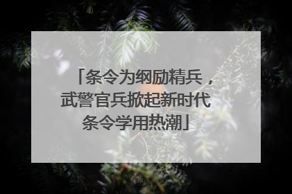 条令为纲励精兵，武警官兵掀起新时代条令学用热潮