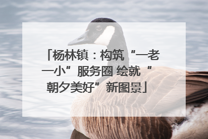 杨林镇：构筑“一老一小”服务圈 绘就“朝夕美好”新图景