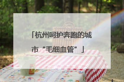杭州呵护奔跑的城市“毛细血管”