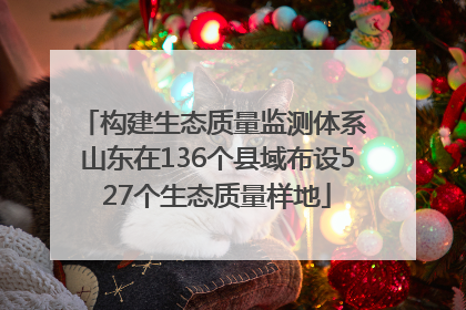 构建生态质量监测体系 山东在136个县域布设527个生态质量样地