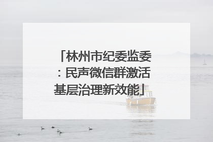 林州市纪委监委：民声微信群激活基层治理新效能