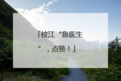 枝江“鱼医生”，点赞！