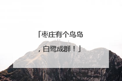 枣庄有个鸟岛，白鹭成群！