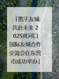 携手友城 共赴未来 2025黄河口国际友城合作交流会在东营市成功举办