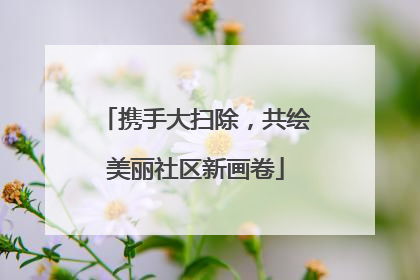 携手大扫除，共绘美丽社区新画卷