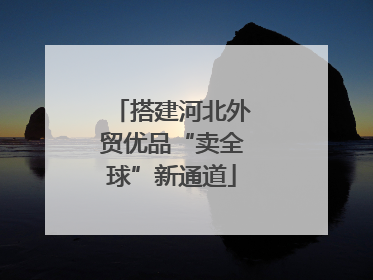 搭建河北外贸优品“卖全球”新通道