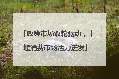 政策市场双轮驱动，十堰消费市场活力迸发