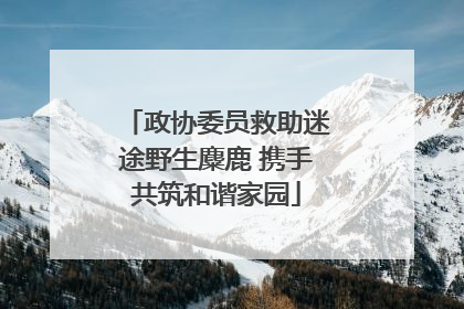 政协委员救助迷途野生麋鹿 携手共筑和谐家园