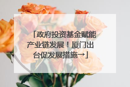 政府投资基金赋能产业链发展！厦门出台促发展措施→